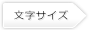 フォントサイズ